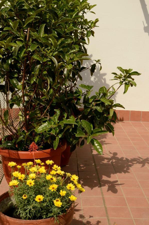Terrazza Eurialo Apartment Наполи Екстериор снимка